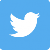 Buy Twitter PVA Accounts for Sale
