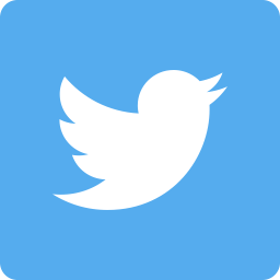 Buy Twitter PVA Accounts for Sale